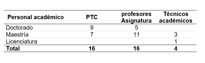 <strong>Tabla 2.</strong> Plantilla académica enero - junio 2021