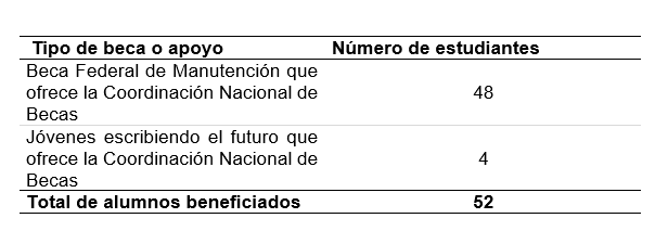 <strong>Tabla 3.</strong> Tipo de beca a estudiantes