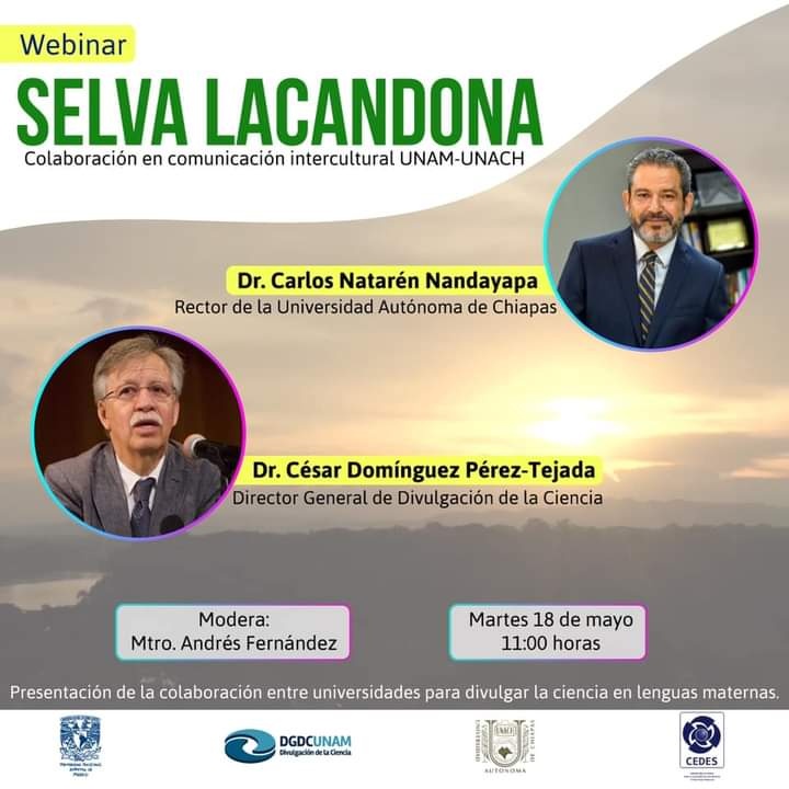 <strong>Figura 30.</strong> Webinar Selva Lacandona.