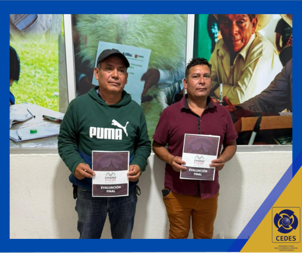 El compromiso rinde frutos: estudiantes concluyen alfabetización bajo tutoría de la Dra. Andrea Mena