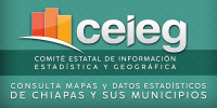 Visita el CEIEG CHIAPAS